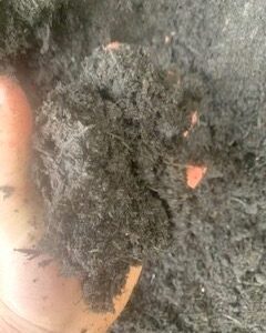 Organic Multipurpose Compost ( Full Bag 1000 litres Approx)